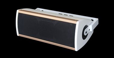 Plywood Cabinet Pro Sound DJ Equipment , Stage Sound Equipment